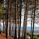 Maison Lumineuse Au Coeur D'arcachon, A 200m, Terrasse Privee ! - Fr-1-420-148 Arcachon