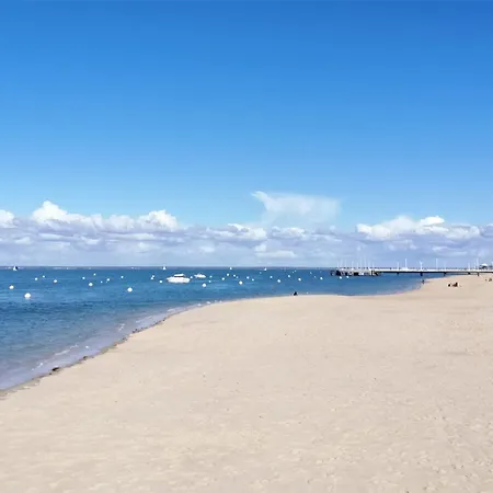 Maison Lumineuse Au Coeur D'arcachon, A 200m, Terrasse Privee ! - Fr-1-420-148 Ferienhaus *