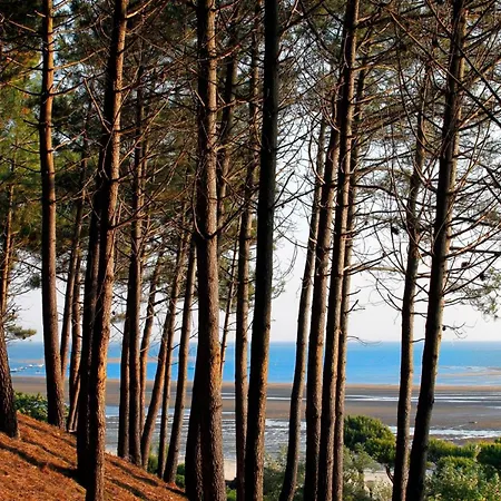 Maison Lumineuse Au Cœur D'arcachon, à 200m, Terrasse Privée ! - Fr-1-420-148 Arcachon