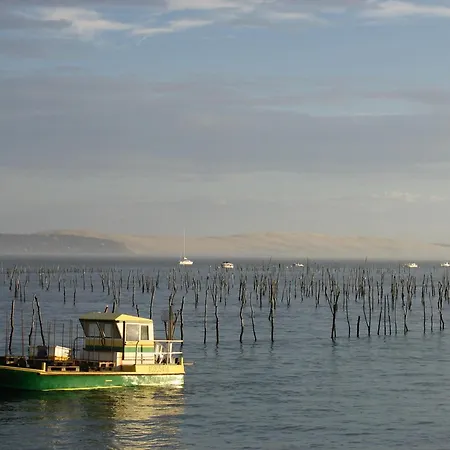 Maison Lumineuse Au Coeur D'arcachon, A 200m, Terrasse Privee ! - Fr-1-420-148